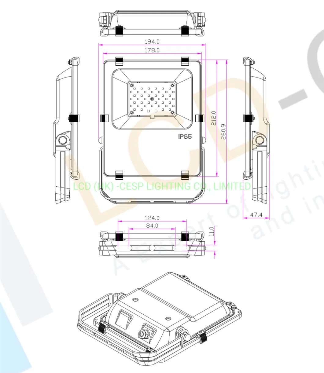 IP66 LED Flood Lights 10W 30W 50W 80W 100W Bowlight Remote Control 150lm/W 6000K Lighting Luminaire